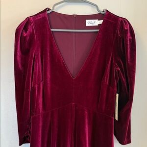 Eliza J Elegant Velvet Long Puff Sleeve Dress in Wine Red